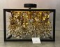 Preview: Arte Luce Deckenleuchte KA3333/4PL Gold/Schwarz - Kunstfertigkeit in Perfektion